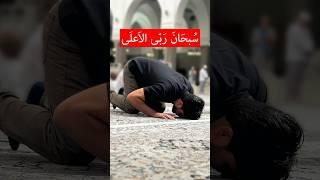 معنای (سبحان ربی العظیم و ربی الاعلی) در نماز