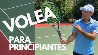Tennis volley for Beginners