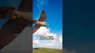 Unbelievable Facts: Axolotl, Peregrine Falcon, Elephants & Bats!