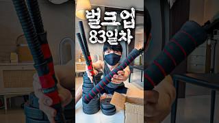32. 벌크업 83일차 : 4만원짜리 덤벨로 벌크업