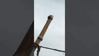 sad video