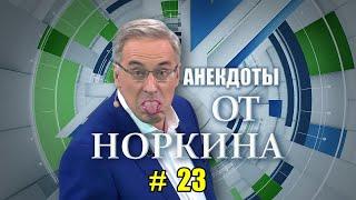 Новые анекдоты от Норкина. Выпуск 23