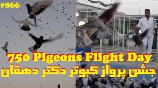 جشن پرواز 750 کبوتر دکترعلی دهقان از بازارمبل امام علی FLIGHT OF 750 GOOD PIGEONS CELEBRATION, KARAJ