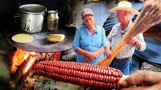 ASI HACEN LAS ESCOBAS DE POPOTILLO - COSECHA DE MAIZ COLORADO