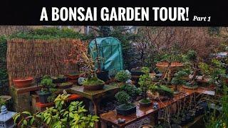 Bonsai Nursery Tour - At Rōjin Bonsai Studio