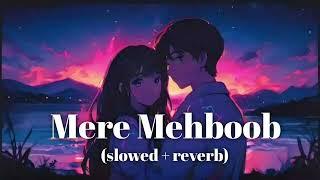 Mere Mehboob ( Showed + Reverb) Rajkummar Rao | Triptii Dimri | AL Rahi Lofi