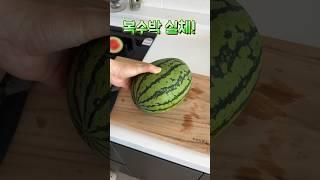 복수박 실체를 맛보다#shorts #watermelon #맛있음 #회사브이로그 #잠깐