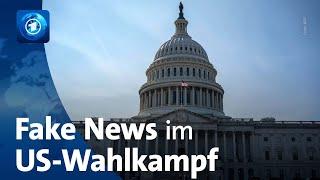 Gefahr durch Fake-News im US-Wahlkampf