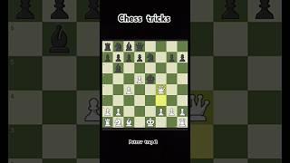 chess tricks to win fast with beginners in petrov trap #chess #shorts #subscribe