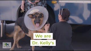 Convenient & Affordable Surgical Care: Dr. Kelly's Surgical Unit