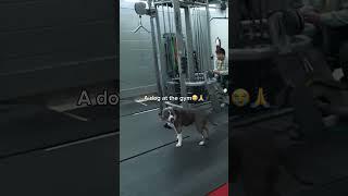 Why is that even there | Credit to Sam Sulek on yt #samsulek #gym #gymworkout #funny #gymlover