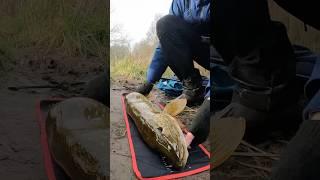Monster Snoek van 1 Meter – Mijn Nieuw PR! 