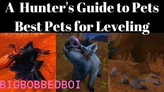 A Hunter's Guide to Pets : Best Pets for Leveling | WoW Classic Tutorial