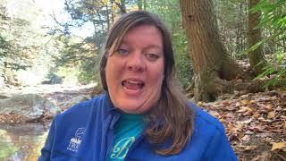 Career Talk- PA Council Of Trout Unlimited Program Director- Rachel Kester