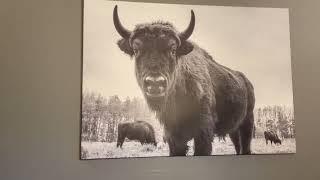 Overguard AZ Worldmark Bison Ranch Timeshare Review Unit Tour White Mountains of Arizona