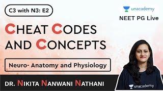 C3 with N3 | Neuro- Anatomy and Physiology with Dr. Nikita Nanwani Nathani