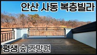 안산 사동 복층빌라/ 사계절이 보이는 평생 숲조망 테라스,거실창! 3억초반대의 3룸 테라스복층! 숲세권 안산 복층 최저가 신축현장! [매물번호 AS 395]