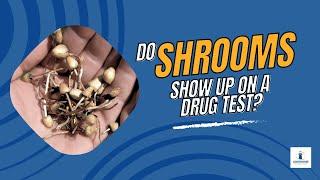 Do Shrooms Show Up on a Drug Test?