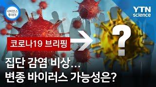 [코로나19 브리핑] 집단 감염 비상…변종 바이러스 가능성은? / YTN 사이언스