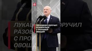 Лукашенко поручил разобраться с пропажей овощей! #лукашенко #батька #политика #новости #беларусь