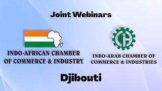 Africa Connect  - Djibouti Webinar