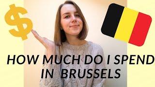 How Much I Spend in A Week In Brussels | Intern in Belgium