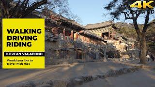 Exploring The Beauty Of Korea | Stunning 4K Walk Through Bulguksa Temple In The Mountains