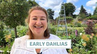 July Garden Tour With Early Dahlias, English Country Garden Tour // Cottoverdi