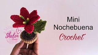 Mini Nochebuena crochet pascua