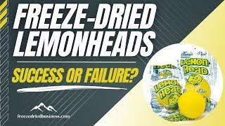 Here is What Happens When You Freeze-Dry Lemonheads | How To Freeze-Dry Candy -Freeze Dried Business