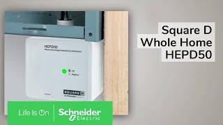 Square D Whole Home Electronics Protective Device (HEPD50) | Schneider Electric