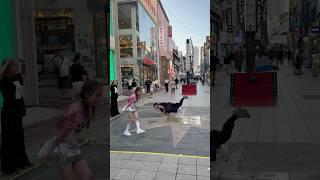 슬릭백vs비보이 과연 승자는? #춤추는곰돌 #춤추는곰돌의랜덤댄스 #kpop #music #dance #댄스 #slickback #슬릭백 #슬릭백챌린지 #진조크루 #bboy