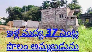 Plots for sale in vijayawada | vijayawada Realestate | Kankipadu | 9676199099 | 8143452143.