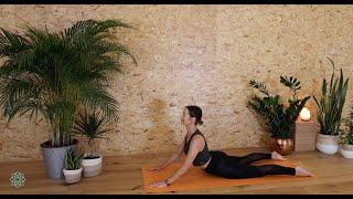 Sun Salutations -  A Journey begins - Yoga with Laura Lowe