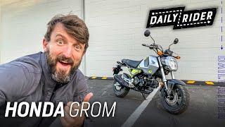 2022 Honda Grom Review | Daily Rider