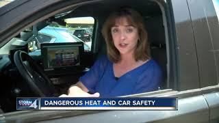 Dangerous Heat and Car Safety Tips