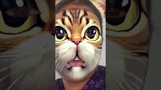  kitten meowing