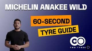 Michelin Anakee Wild - Motorcycle Tyres Review - 60-second Guide