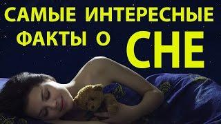 САМЫЕ ИНТЕРЕСНЫЕ ФАКТЫ О СНЕ