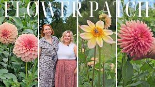 Garden Tour of a Charming Suburban Cut Flower Garden: 5 @floretflowerfarm Zinnias & Stunning Dahlias