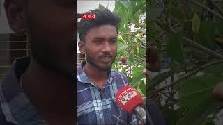 ছাদ বাগানে মন খারাপের গল্প #rooffarming #farming #thakurgaon #shorts #somoytv