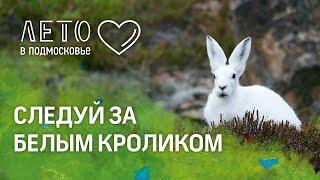 Отдых в Подмосковье - Настоящая сказка в Прованс-отеле "4 Сезона"