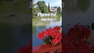 Просто лето #природа