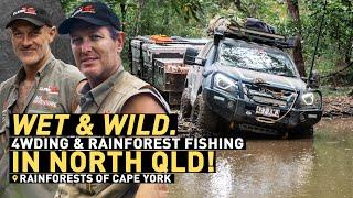  BOGGED IN THE JUNGLE — Chasing Jungle Perch, Gold Mines & more!