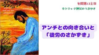 カトリック神父のつぶやき 「アンチとの向き合いと 『徒労のさかずき』」B年 年間第14主日 2024年7月7日