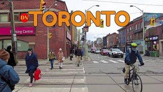 TORONTO / BLOOR STREET / WALK ( DEC 2024 )