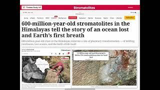 Stromatolites – Earth’s Oldest Living Fossils #upsc #ias