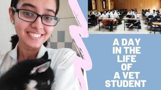 Day in the life of a vet student | Vet Visit