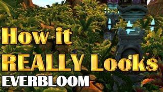 How it REALLY Looks - The Everbloom