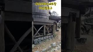 해양드라마세트장 #여행#경남여행#반려견#여행지#여행유튜브#세트장